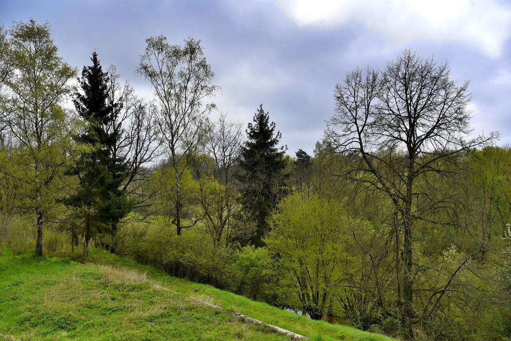 Holiday home Turovec Tábor Extérieur photo